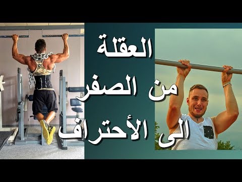 أول تمارين عقلة من الصفر وحتى الاحتراف برنامج تدريبي متكامل لأتقان العقلة Pull ups