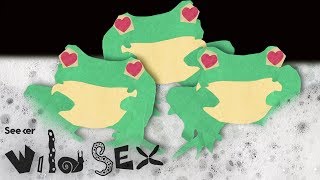 Foam Orgies: The Dangerous Sex Life of Tree Frogs