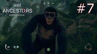 Settling A New Area And Discovering Lots Of New Land - Ancestors: The Humankind Odyssey #7