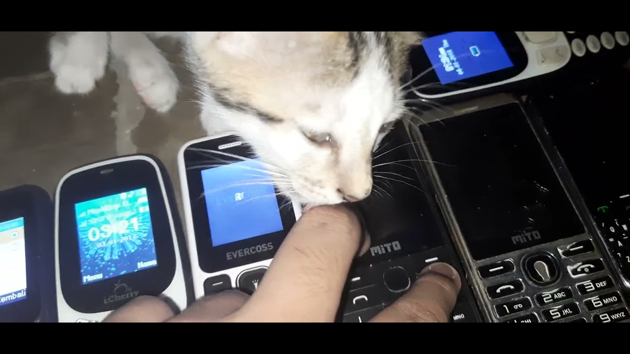 All My Phone Startup Collection