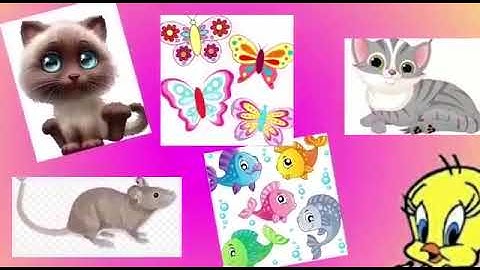 MLZS JHANSI CLASS 1 English Literature Poem 3 One Little Kitten Lecture 1