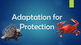 G4 Science B5 Adaptation in Animals S4 Adaptation for Protection