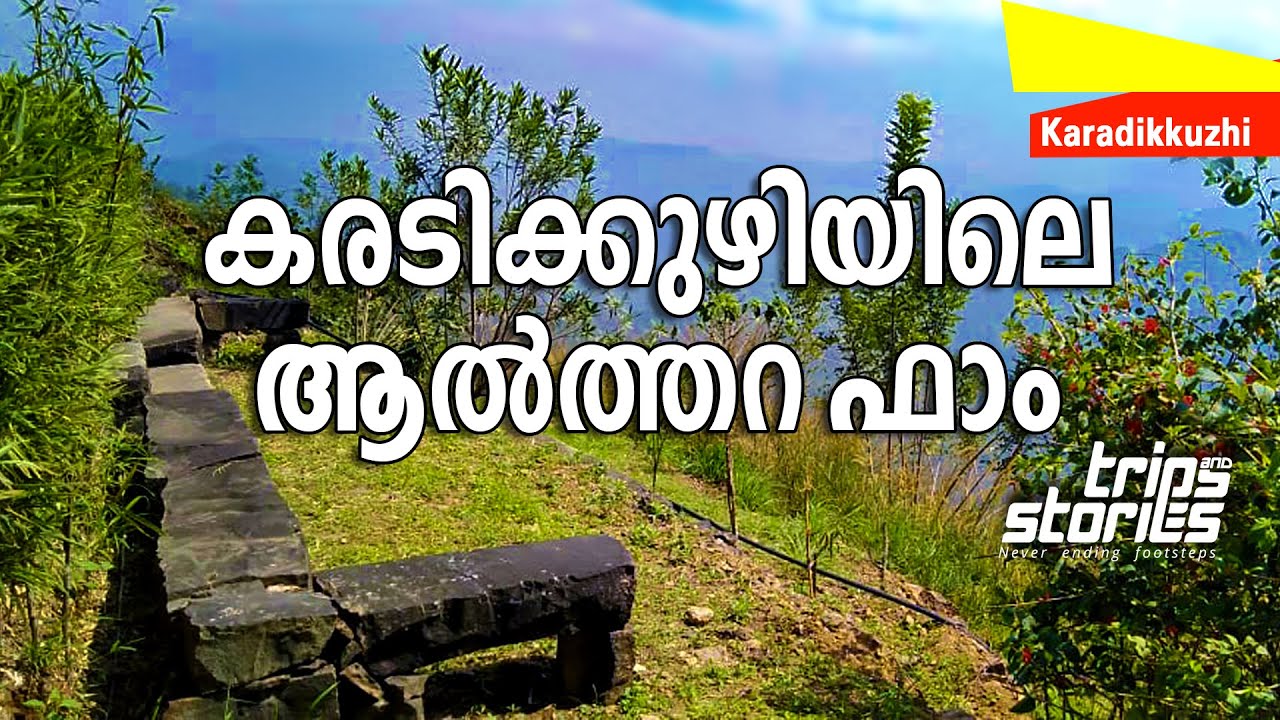 കരടിക്കുഴിയിലെ ആൽത്തറ ഫാം  | ALTHARA FARMSTAY KARADIKUZHI | idukki view points | idukki farm house