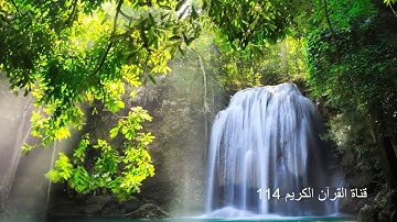 سورة القلم |  فارس عباد