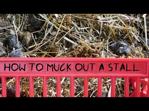 How to Muck Out a Stall