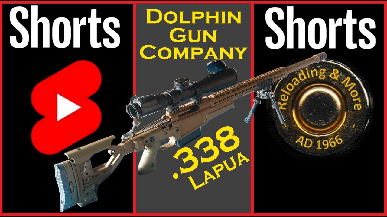 .338 Lapua Dolphin Gun Company Custom Rifle with Swarovski dS. 