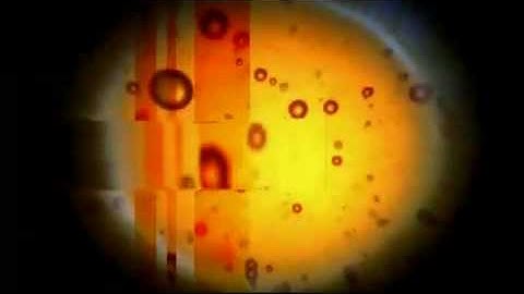 CSI Miami Season 2 Intro/Opening/Theme Song