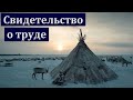 Свидетельство о труде. В. Поляков. МСЦ ЕХБ