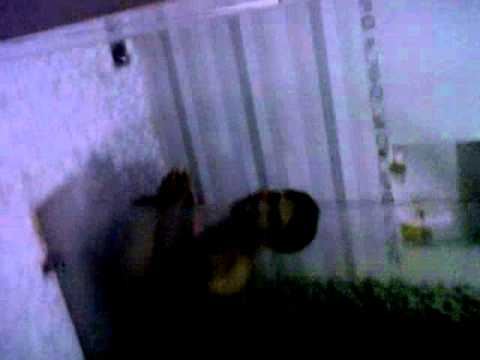 [Full-Download] Dukun Cabul Pulau Sawi