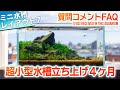 超小型水槽FAQ 立ち上げから４ヶ月報告と質問コメントへの回答 #アクアリウム #nanotank