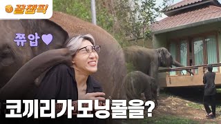 [#배틀트립2] 코끼리가 모닝콜을 해주는 태국 호텔? #แบมแบม │KBS 230617 방송