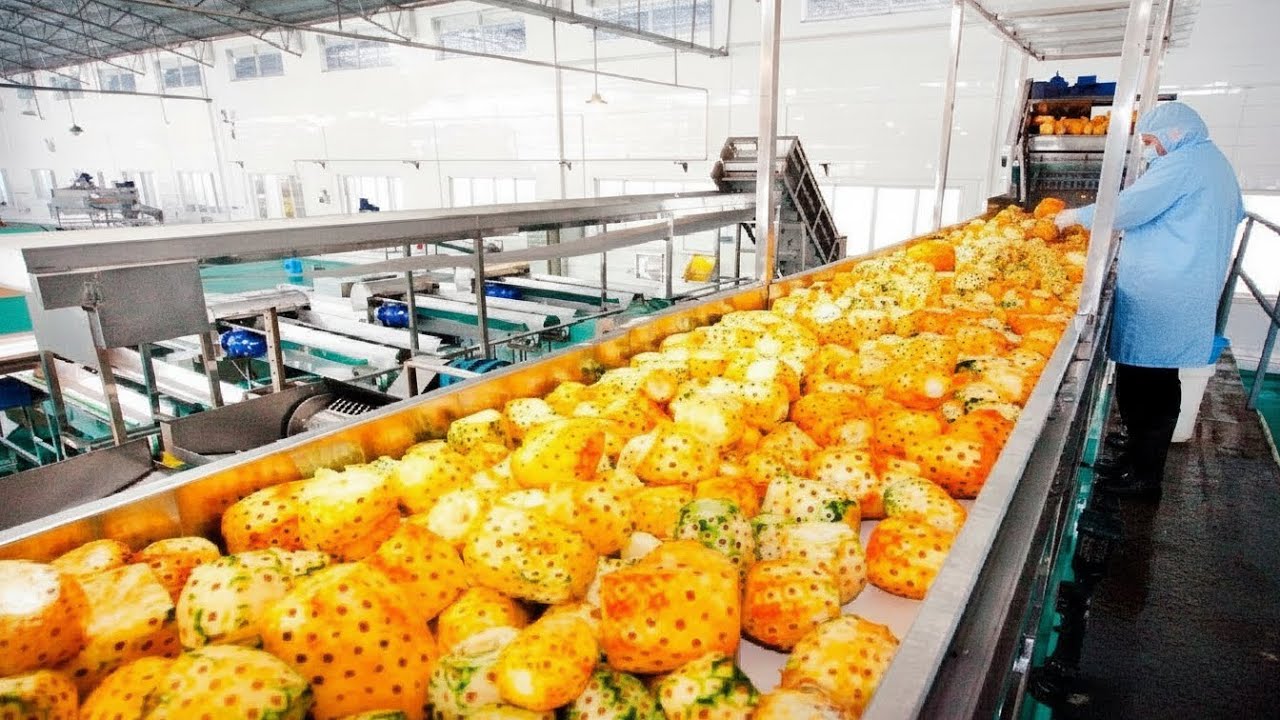 Fantastic Juice Fruit Processing Modern Technology - Tropical Pineapple Orange Juice Processing