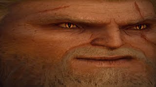 The Witcher 3 Wild Hunt funny bug