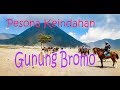 Luar Biasa, Pesona GUNUNG BROMO (Pananjakan, Lautan Pasir, Padang Savana dan Kawah Bromo) Jawa Timur