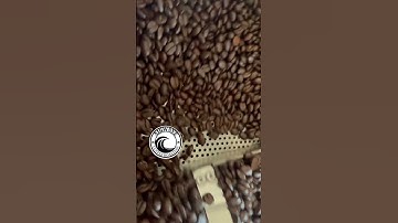 Would you look at that! Just look at it! Coffee beans roasted daily, delivered fresh to your door.