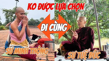 KO CÓ SỰ LỰA CHỌN - Thầy Minh Tuệ Tác Ý Sư Tuệ Đức Đi Cùng Sư Minh Thông Tại Nepal #thichminhtue