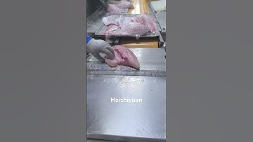 Fish skinning machine #seafoodprocessing #fillet #fishprocessing #fish #food #machine