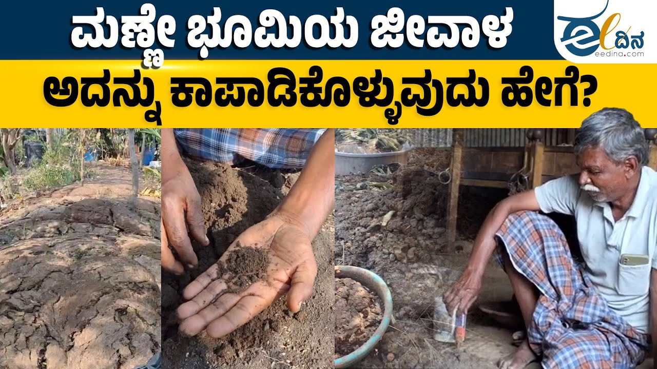 ಮಲ್ಲೇಶಪ್ಪ ಬಿಸಿರೊಟ್ಟಿ ಕೃಷಿ ಭೂಮಿಯ ಮಣ್ಣಿನ ಫಲವತ್ತತೆಯ ರಹಸ್ಯವೇನು?