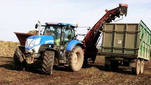 Loading and Cleaning Fodder Beet - a Spring-time Job!