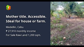 Mother title. Accessible. Ideal for house or farm.