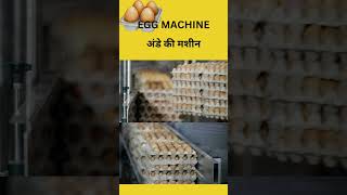 Egg Machine