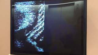 Vasulkas - video art -  - Home, 1973
