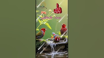 دعاء المظلوم #دعاء_مستجاب #اذكار_الصباح #اللهم_صل_وسلم_على_نبينا_محمد #اكسبلور #shortvideos #reels