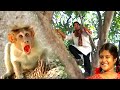 लंकेश जब अंजना को अकेले देख हमला करने लगा | Chamatkari Bandar @laxaminarayan-japtapvratt7537