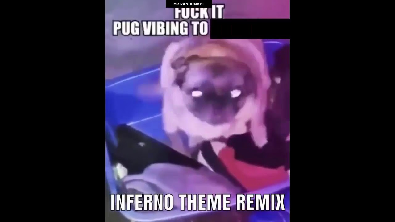 Funny Little Meme Compilation 2 Youtube