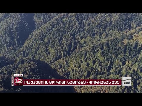 ოკუპანტების მორიგი სამიზნე - ჩორჩანას ტყეა