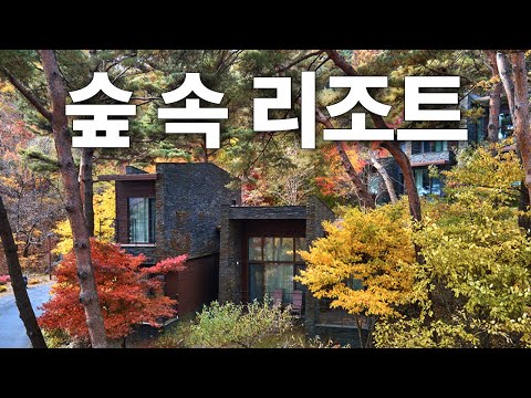 제천 포레스트리솜 힐링여행 - 숲속에서 즐기는 온천 스톤스파🌿