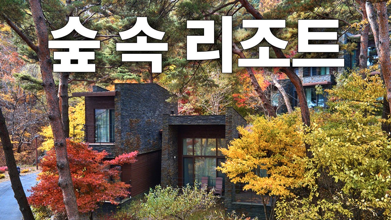 제천 포레스트리솜 힐링여행 - 숲속에서 즐기는 온천 스톤스파🌿