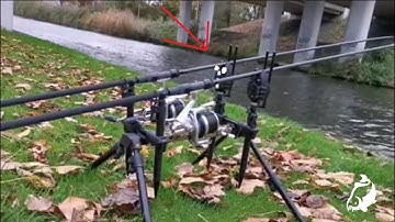 Carp Run COMPILATION 2020! PART 60!