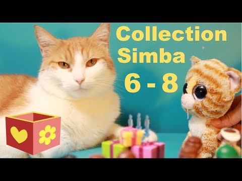 cute-cat-aww-collections-|-videos-for-children-|-funny-and-friendly-animals