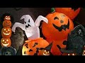 🎃🎃CANCIONES DE DÍA DE MUERTOS Y HALLOWEEN👻👻