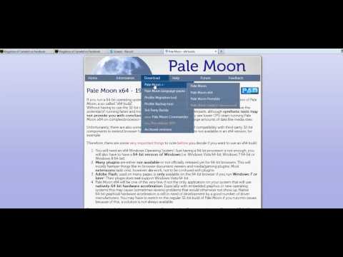 How to install Palemoon Browser for use with Kingdoms of camelot