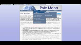 How To Install Palemoon Browser For Use With Kingdoms Of Camelot