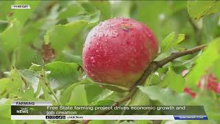 Free State farming project drives economic growth and job creation
