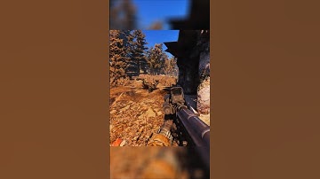 S.T.A.L.K.E.R Anomaly Custom #gameplay #stalker  #stalkeranomaly #stalker2 #gamma