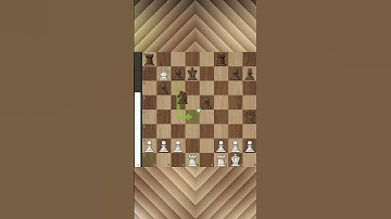 Strategic Utilization of Bishop Pair Key Tactics, Strategies for Superior Positional Play, Tactical
