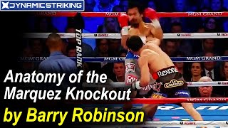 Anatomy of the Marquez Knockout by Barry Robinson - Dynamic Striking Film Study