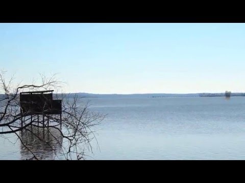 Special Effects Leesylvania State Park (Action Essentials 2, Wiggle Camera Shake After Effects)