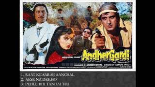 ANDHER GARDI 1990 AUDIO SONGS