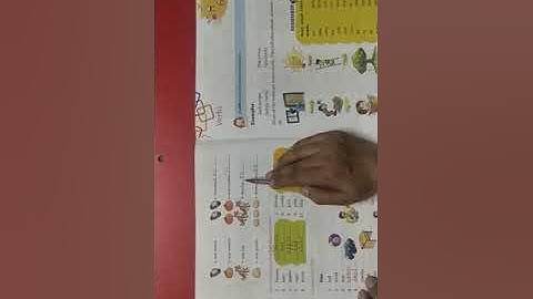 One and more than one, Class 1, English Grammar, chapter 5(1)