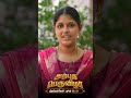 திருநெல்வேலியில் ! அற்புத பெருவிழா!✨
