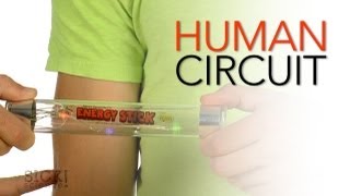 Human Circuit - Sick Science! #154