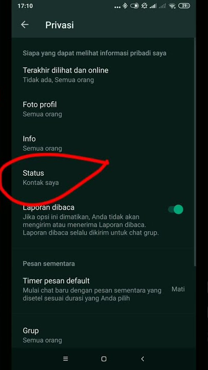 How to Set Your WhatsApp Status So That It Cannot Be Seen by Others!!...#shorts