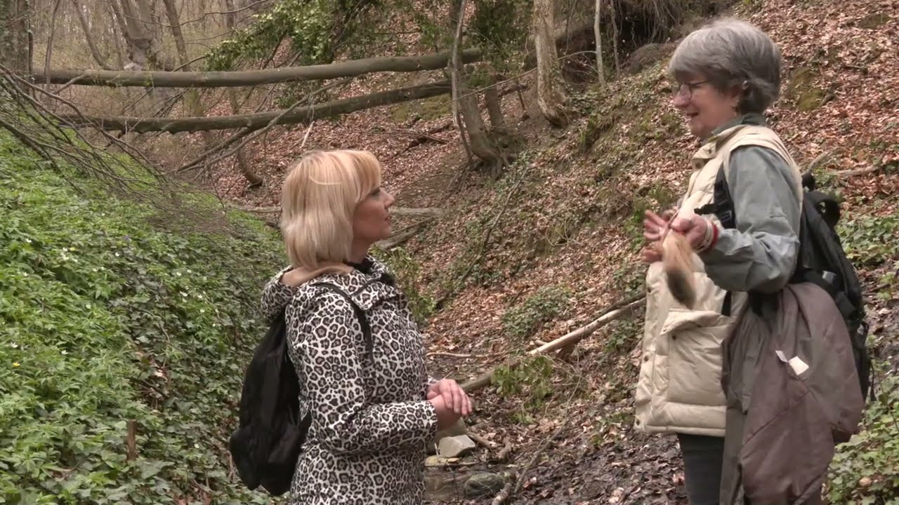 Trag: Točak vremena