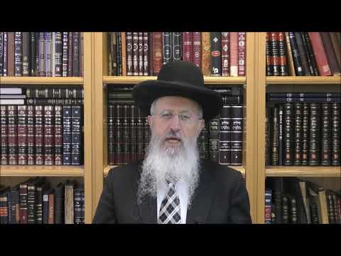 הרב אברהם יוסף שליט"א האם יהיה מותר להכין מכשירי אוכל נפש ביום טוב