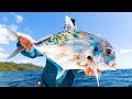 Rare Trevally Species While Offshore Kayak Fishing (CEVICHE!) | Panama